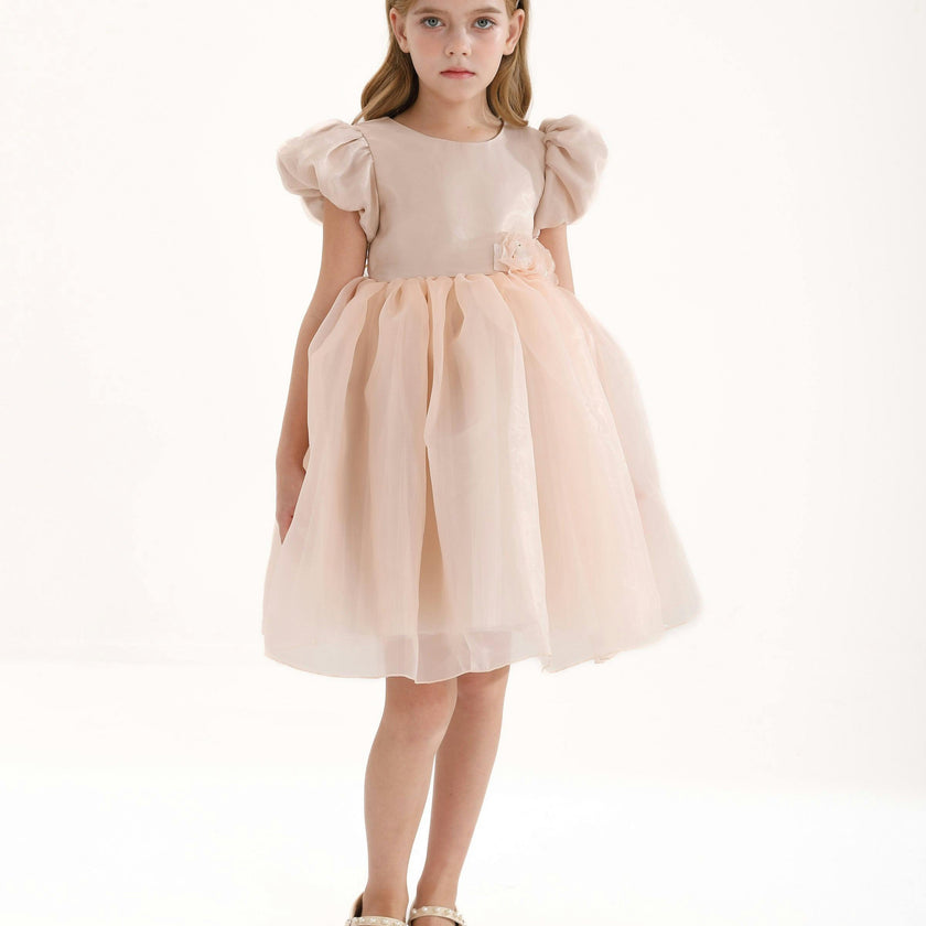 Champagne D'Amico Floral Teacup Dress