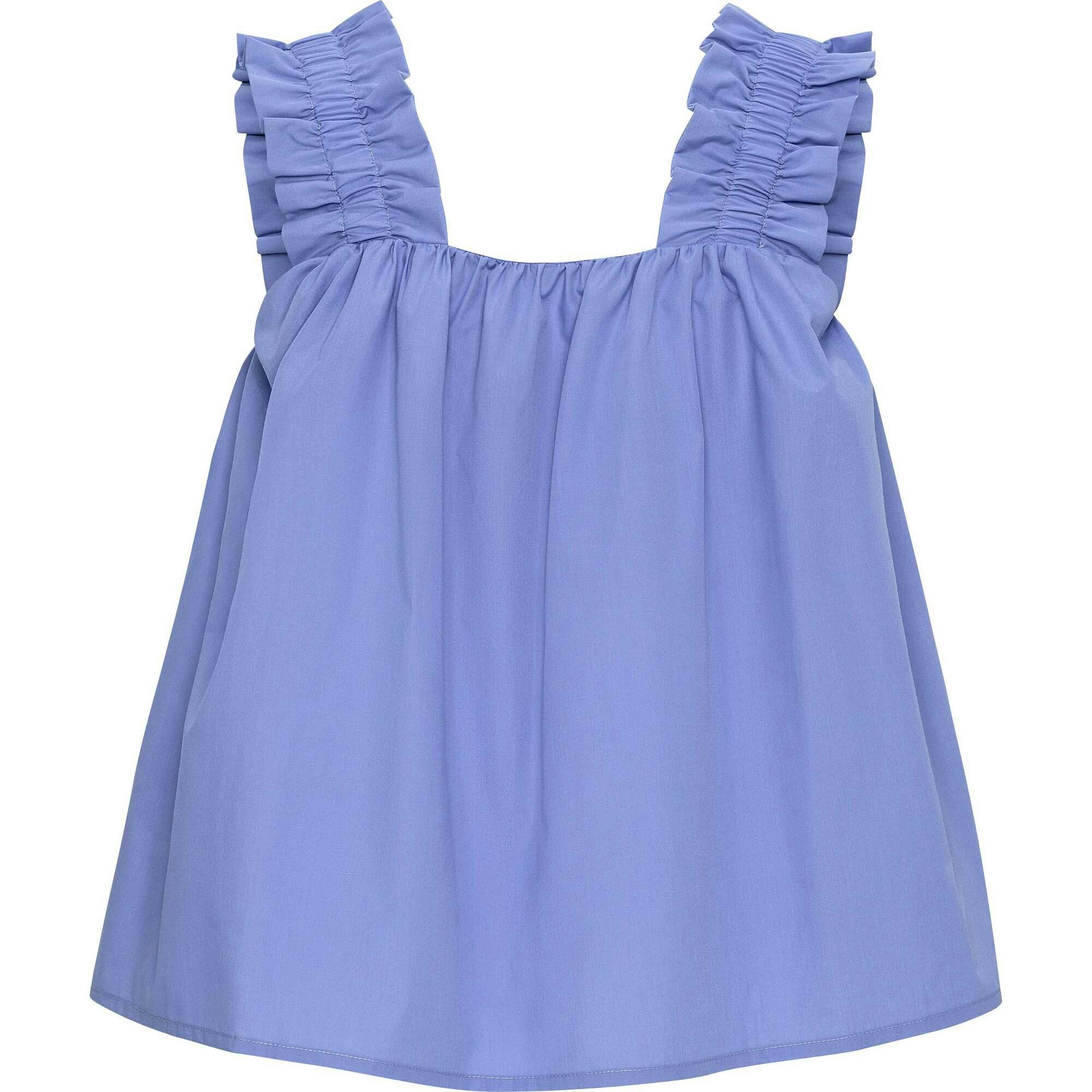 Holly Top Blueberry