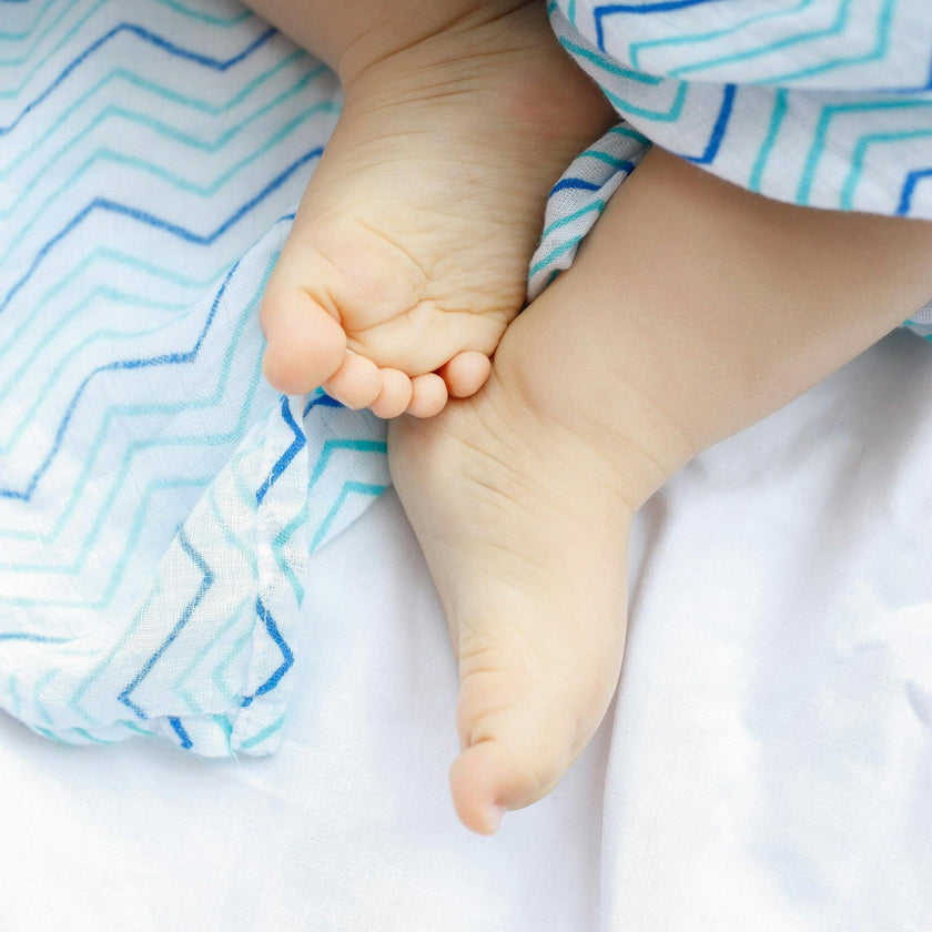 Organic Muslin Swaddle Gift Set
