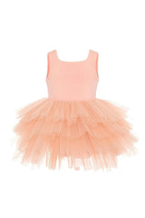 Salmon Sunset Tutu Dress