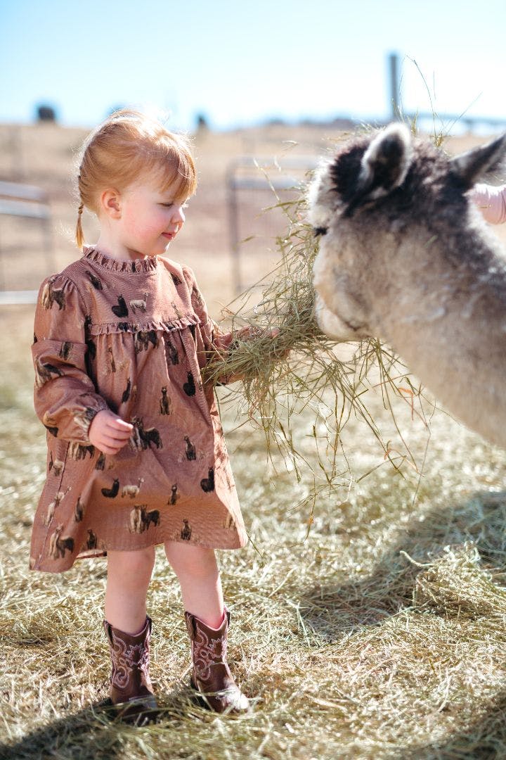 Corduroy Dress & Bloomer