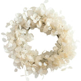 Dried Look Translucent Bleached Lunaria All Seasons Fall Wreath