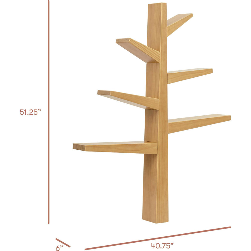 Spruce Tree Bookcase in Honey