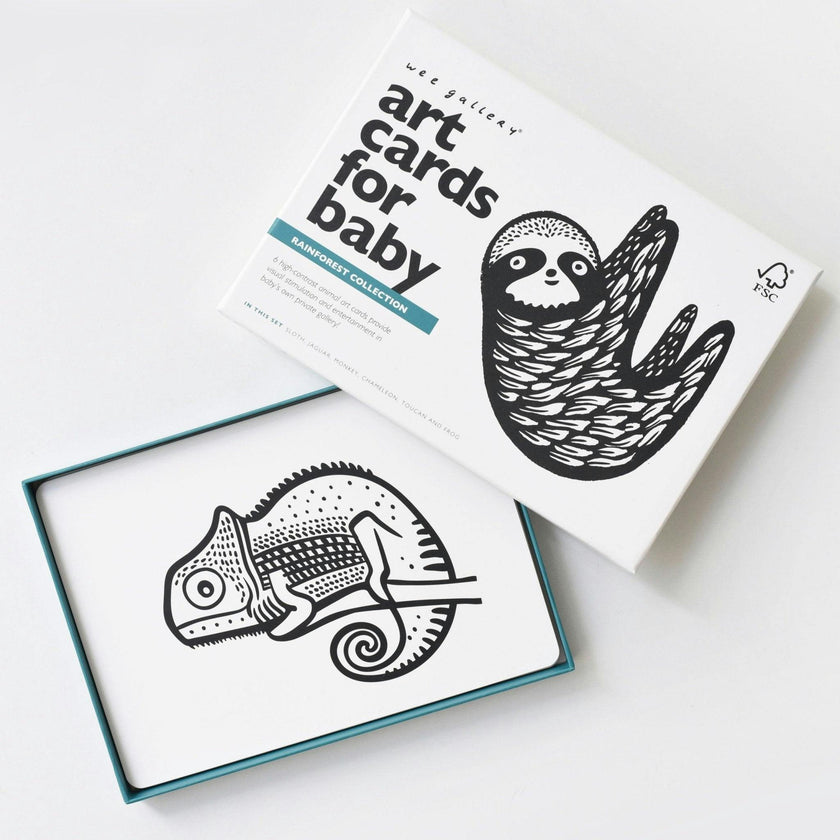 Rainforest - Art Cards for Baby