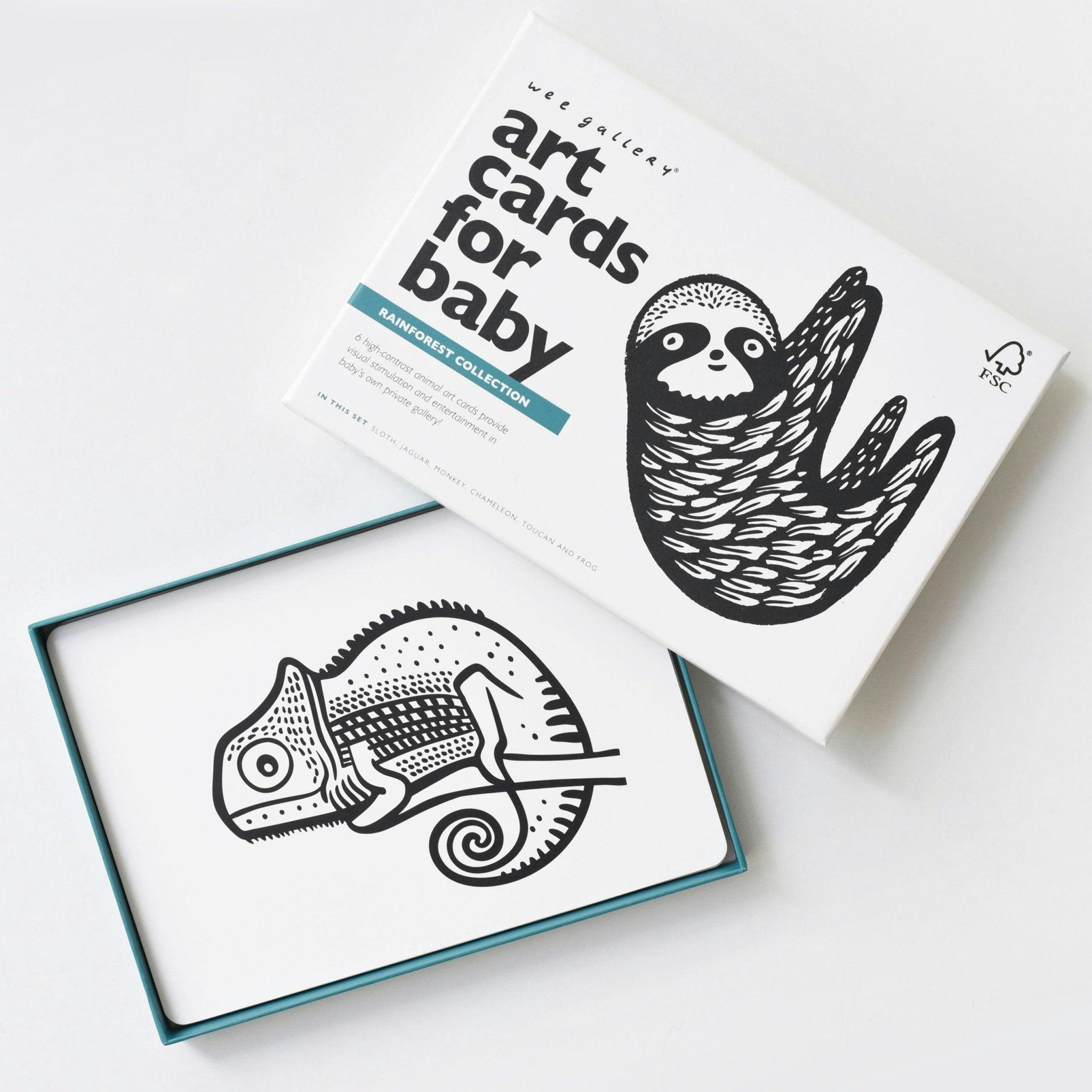 Rainforest - Art Cards for Baby