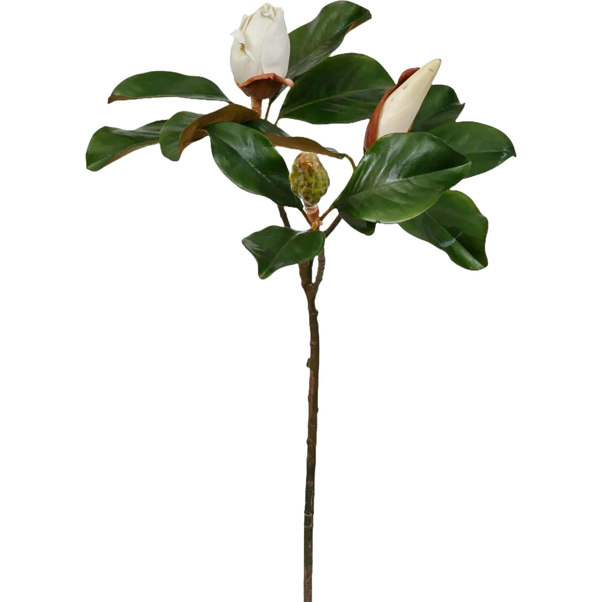 Real Touch Large Magnolia Bud Large Branch Stem 31