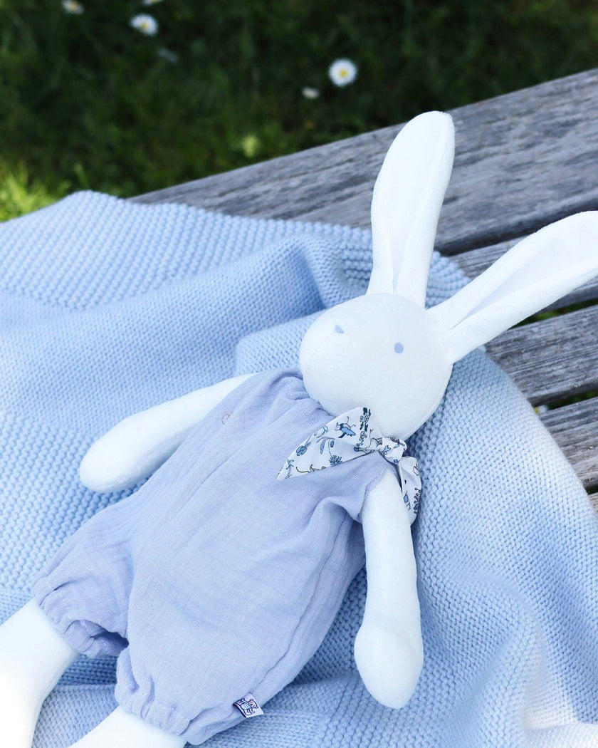 Josephine the Rabbit