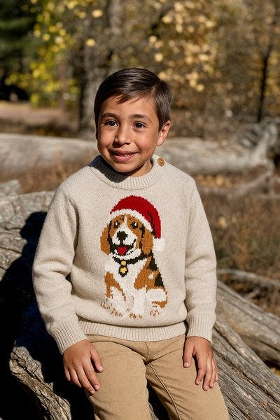 WOODY festive henry sweater