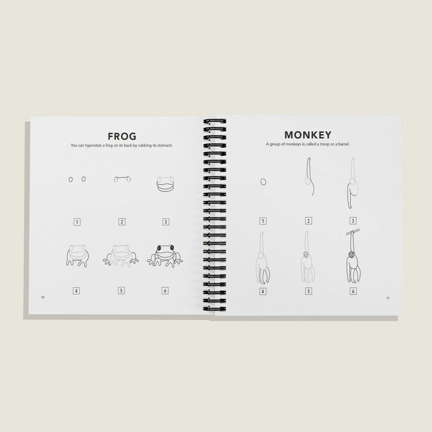 How to Draw All the Animals (Spiral)