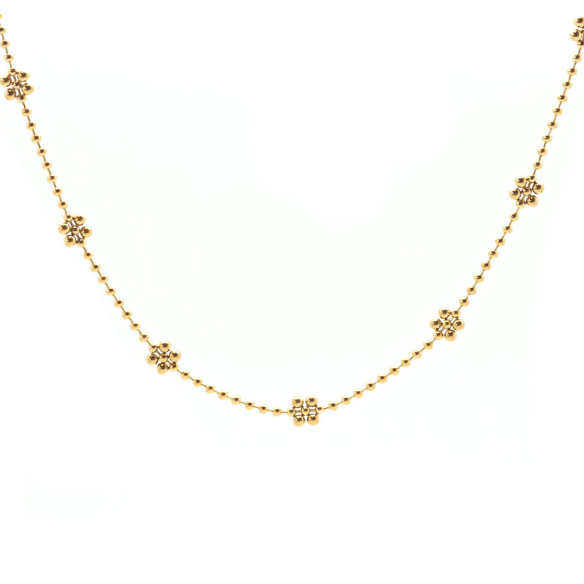 Golden Daisy
