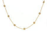 Golden Daisy