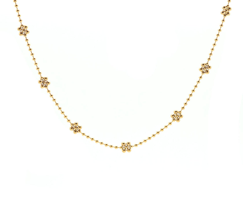 Golden Daisy
