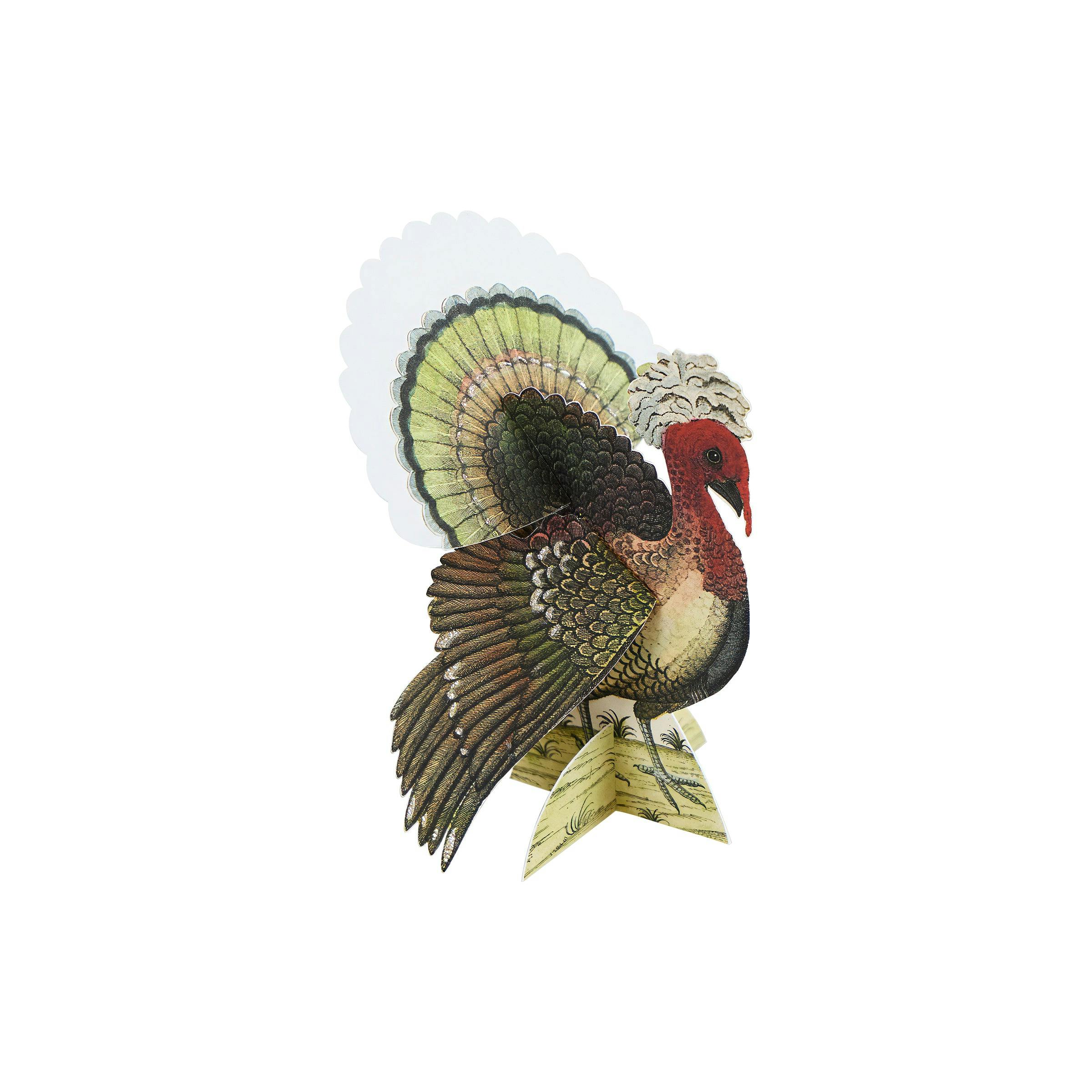 Meri Meri x John Derian Turkey Place Cards