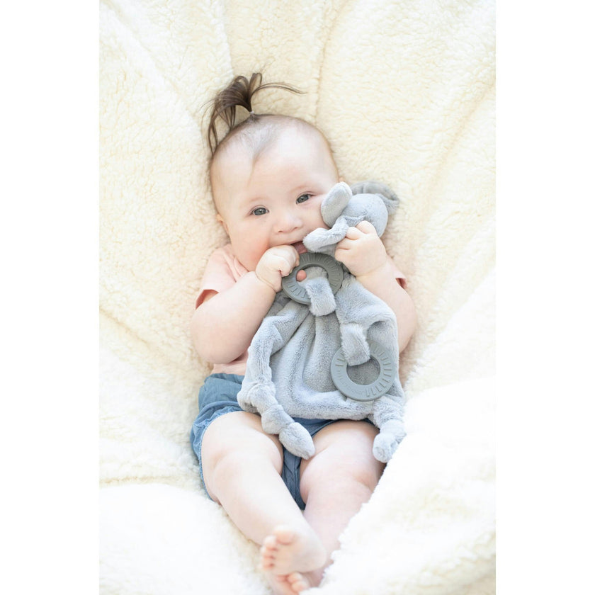 Teether Buddy