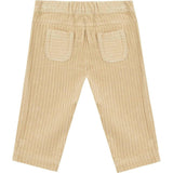 Cotton Pants