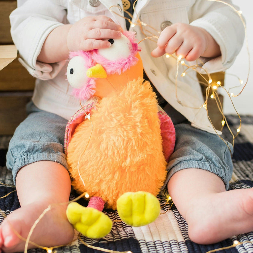Ollie Soft Toy & Infant Novel Set