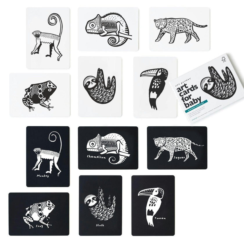 Rainforest - Art Cards for Baby