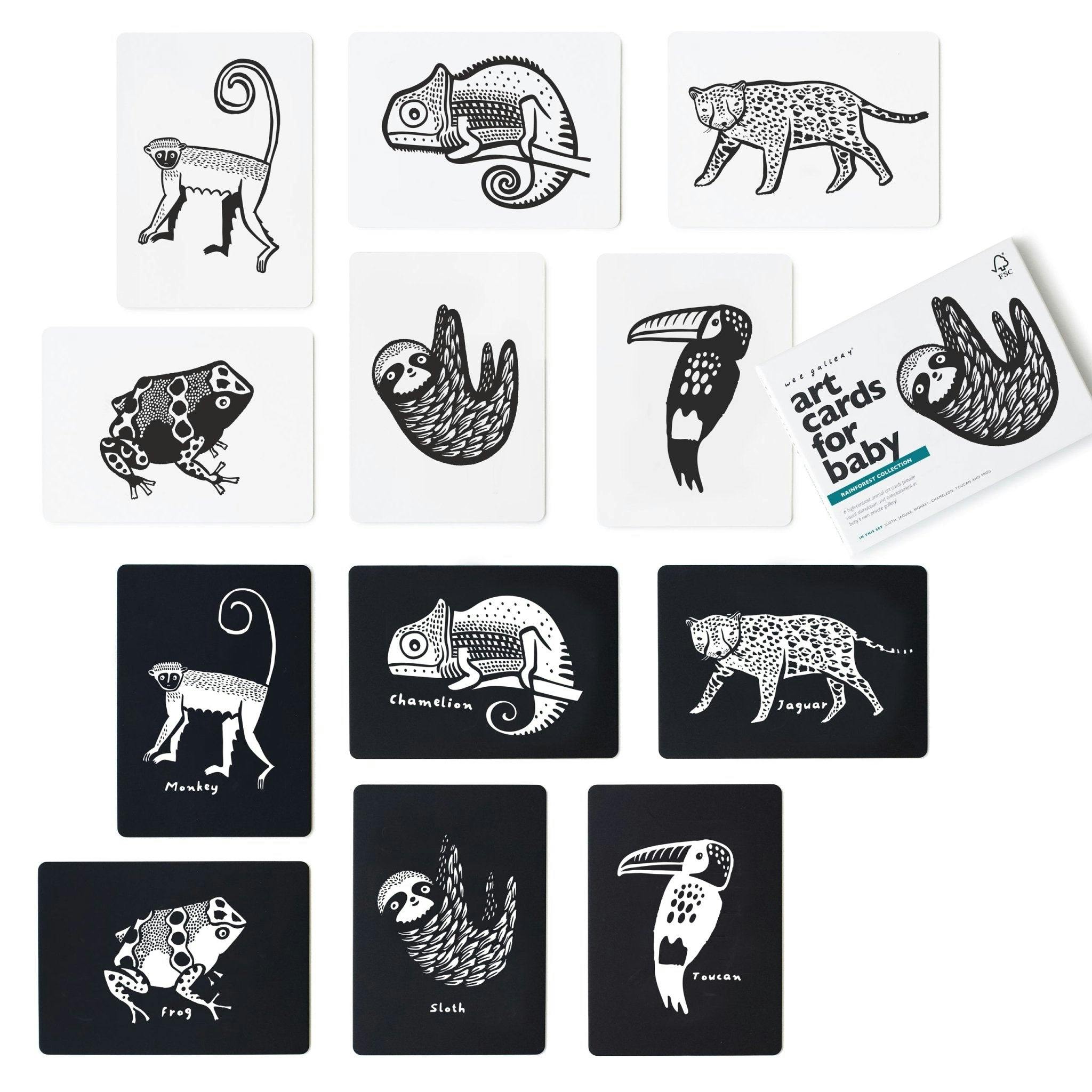 Rainforest - Art Cards for Baby