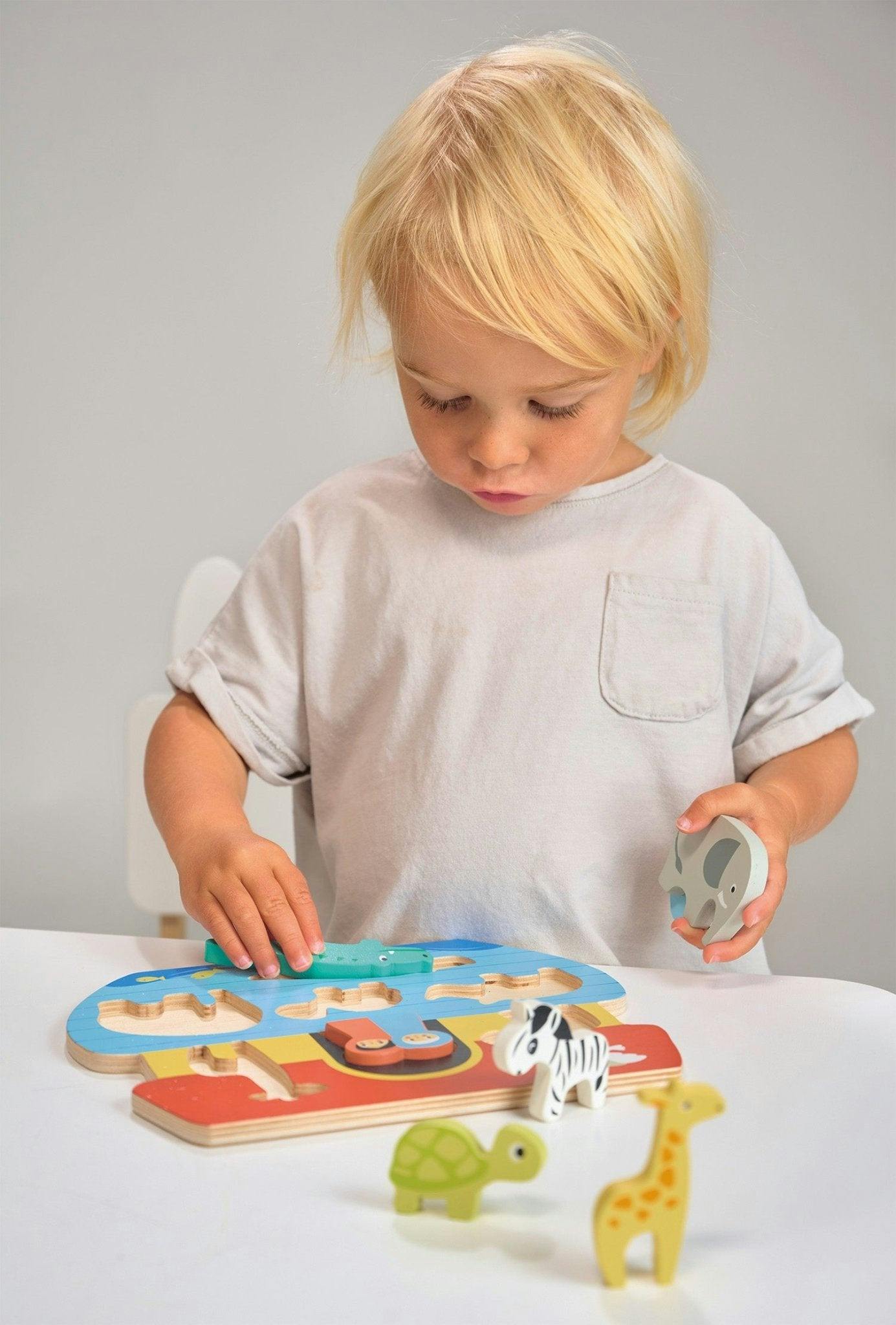 Shape Sorting Ark Tray