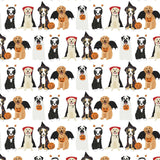 Charles Boys' Short Set - Halloween Pups