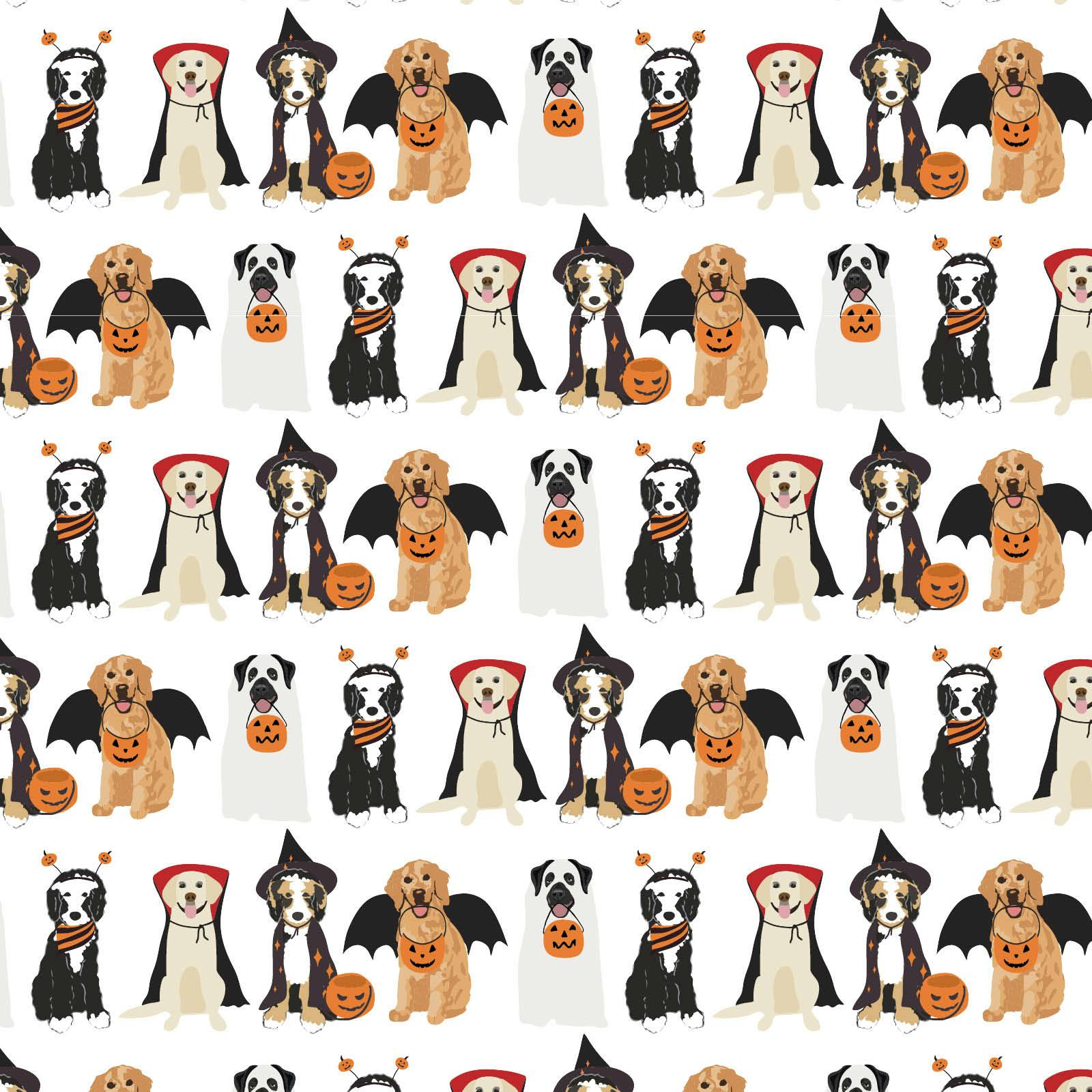 Charles Boys' Short Set - Halloween Pups
