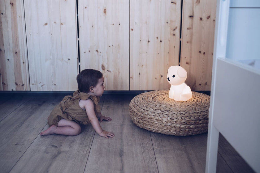 Mr Maria Snuffy Lights