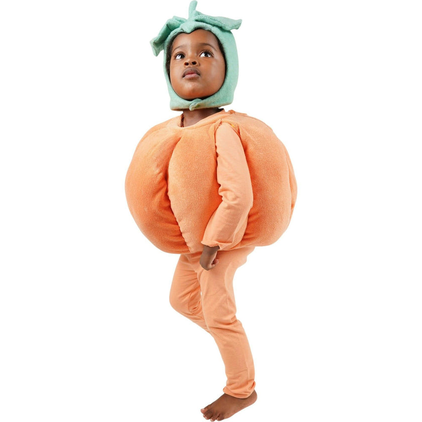 Pumpkin Patch Costume