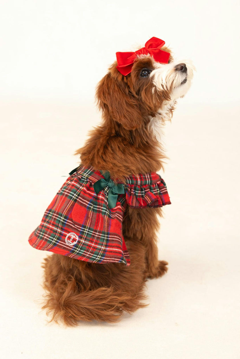 Red Plaid Dog Dress