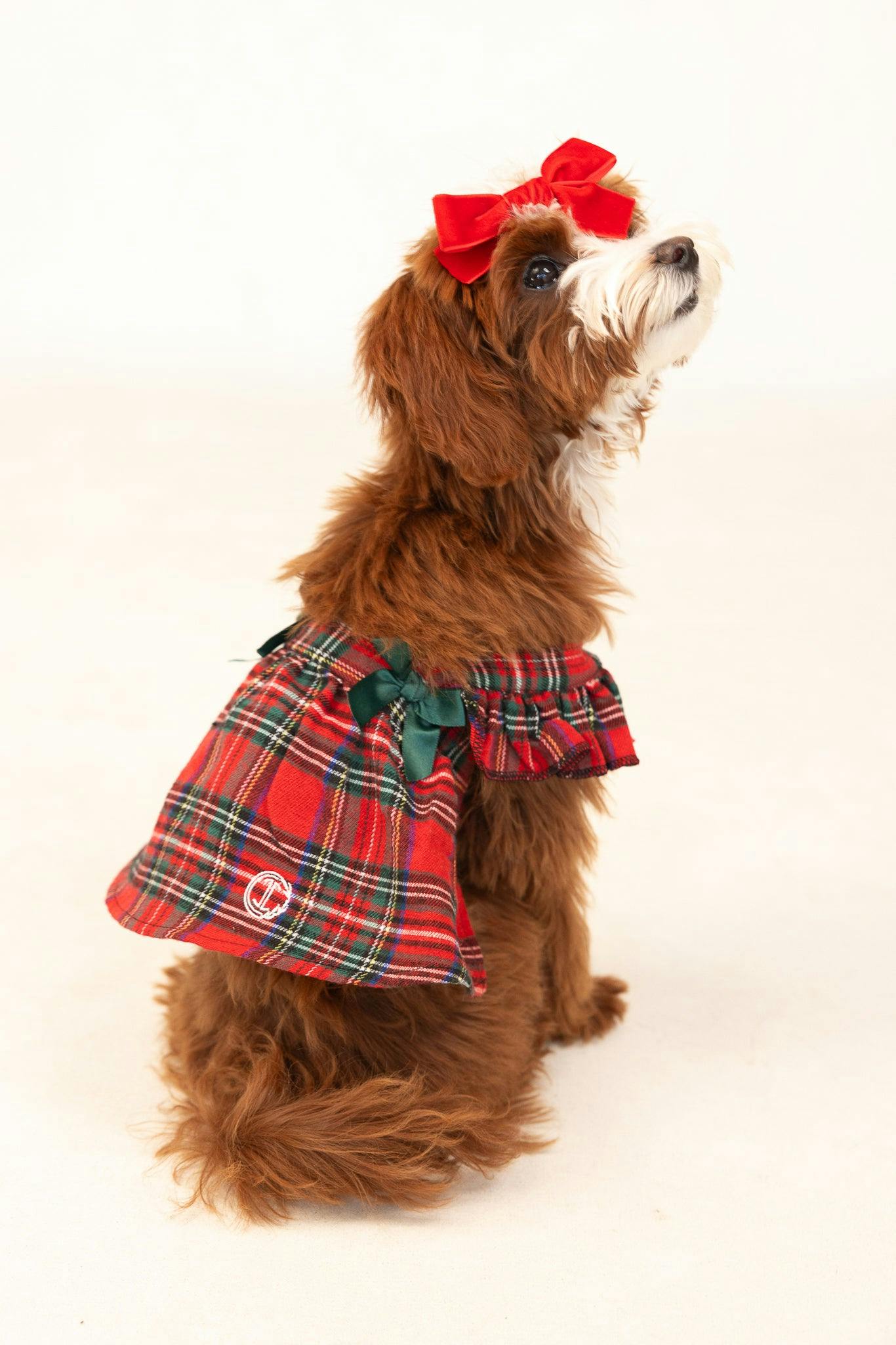 Red Plaid Dog Dress