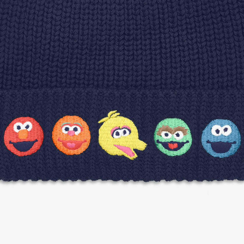 Kids Sesame Street friends cotton beanie