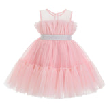 Pink Isolara Tulle Glitter Bow Dress