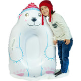 Polar Snow Sled