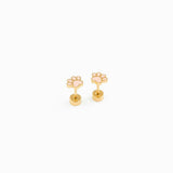Paw Print