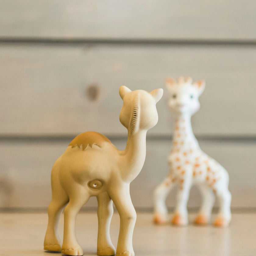 Al'Thir the Camel Teether