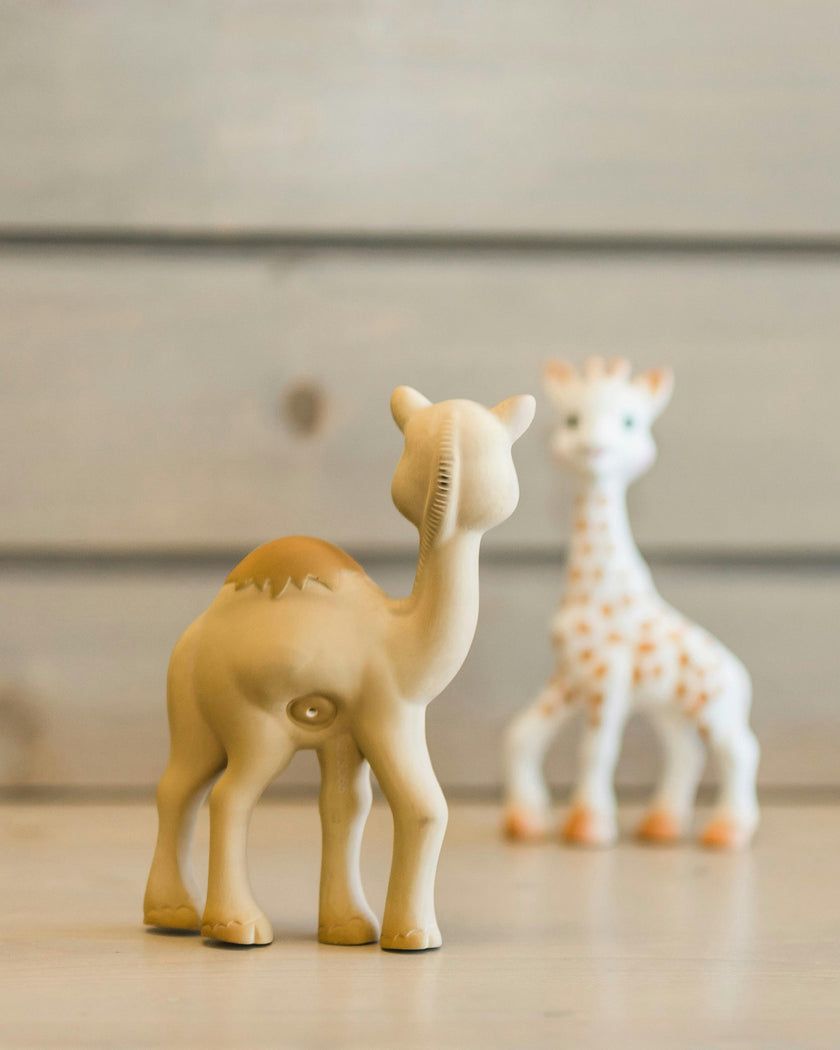 Al'Thir the Camel Teether