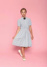 Ariel (blue stripe)
