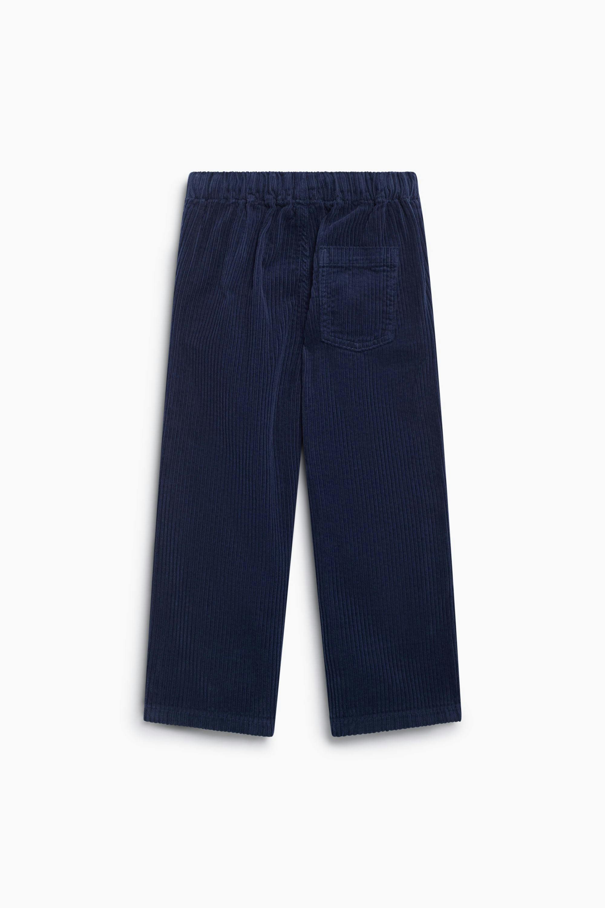 Elio Corduroy Trouser Black Iris
