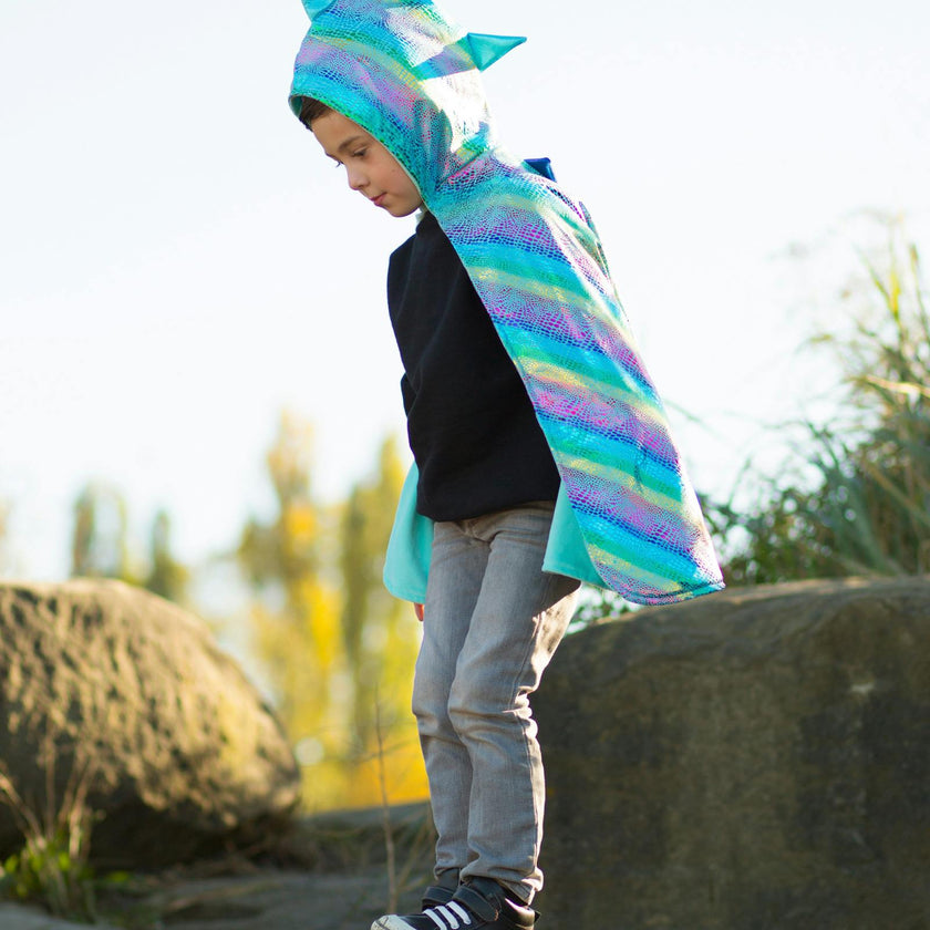 Reversible Unicorn Dragon Cape