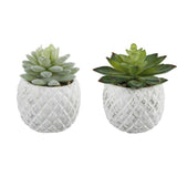 Pineapple Pot Faux Succulents