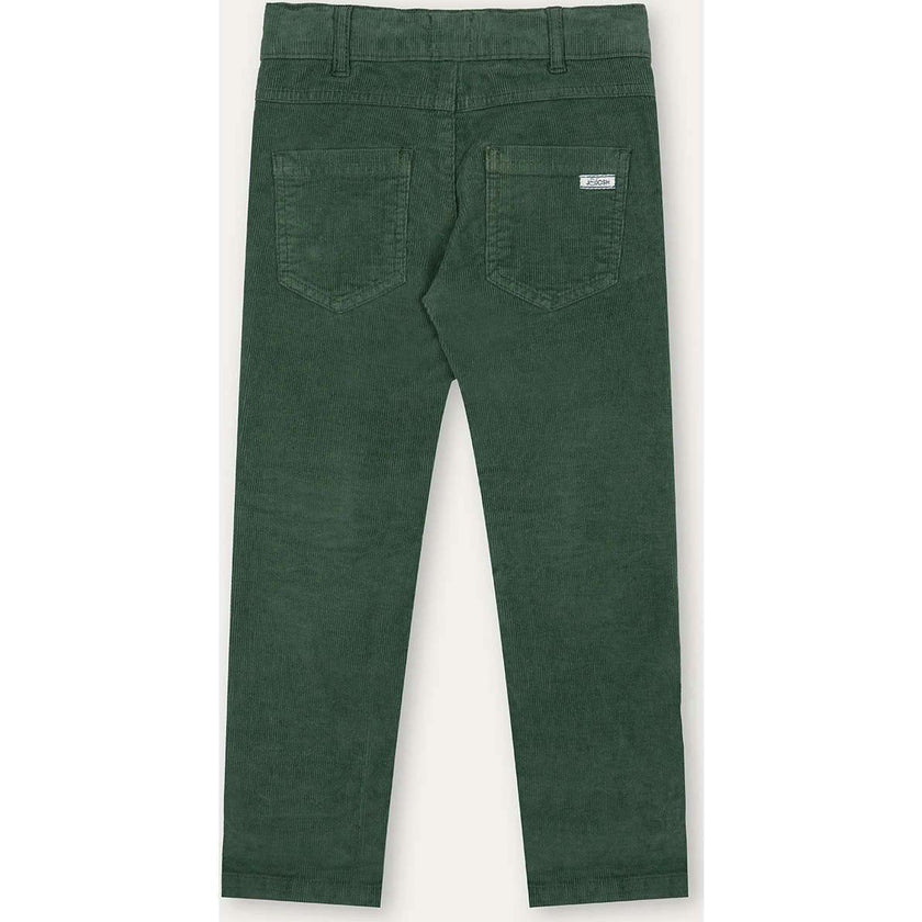 Regular Fit Corduroy Trousers