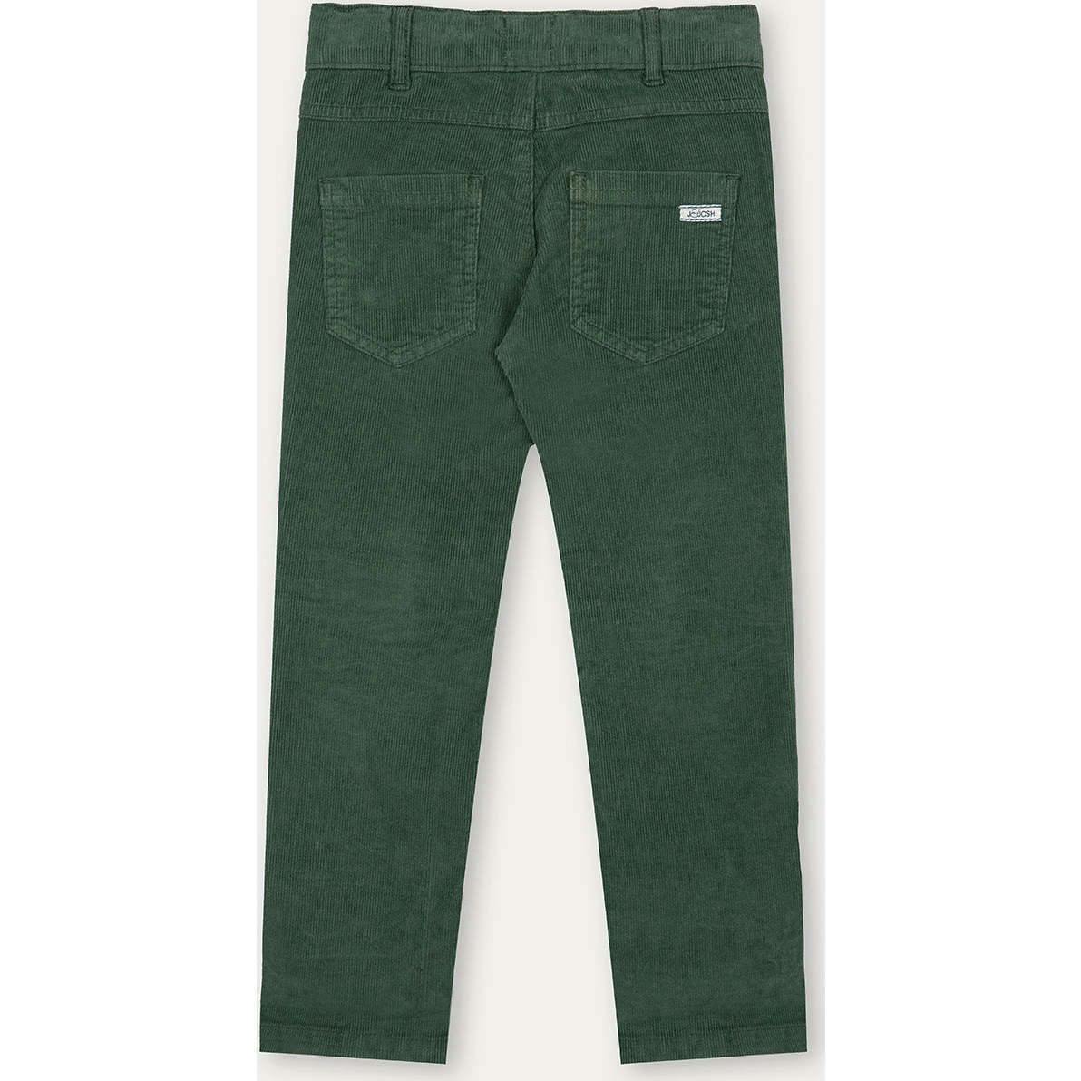 Regular Fit Corduroy Trousers