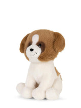 Herman the St. Bernard ECO - 7"