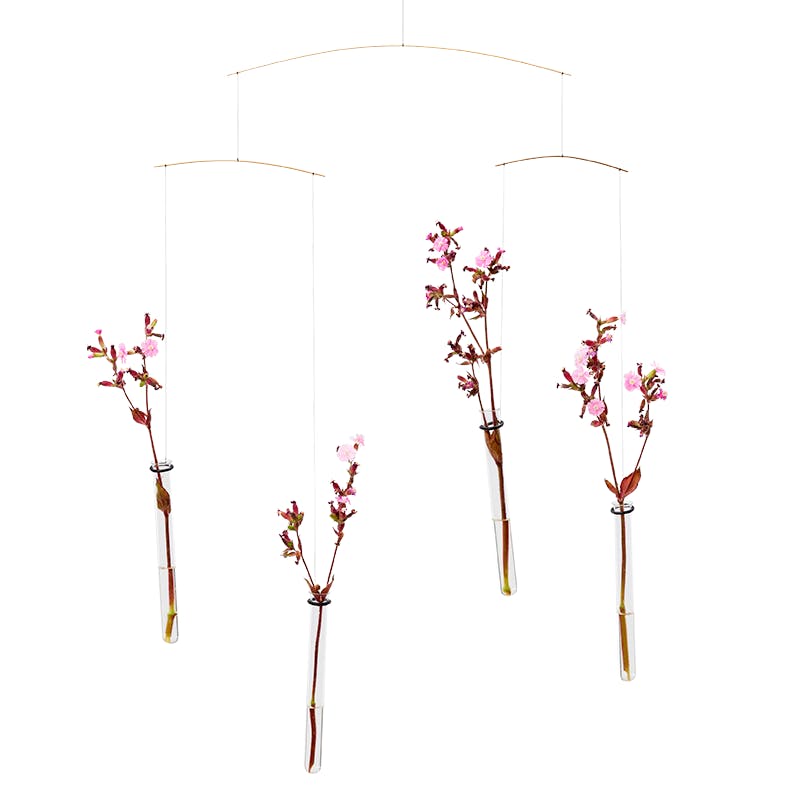 Flying Flowers.