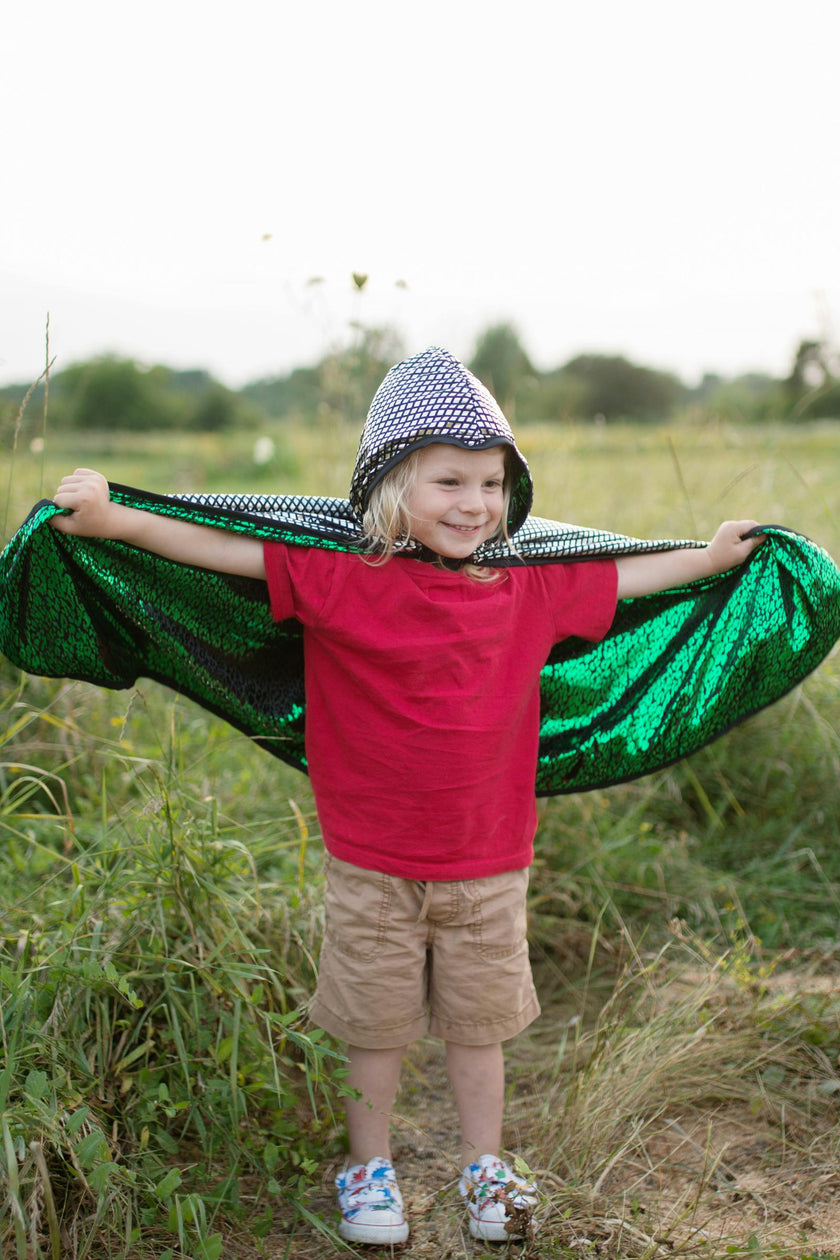 Dragon Knight Reversible Cape