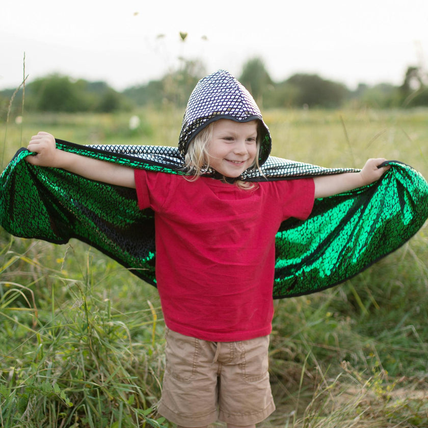 Dragon Knight Reversible Cape