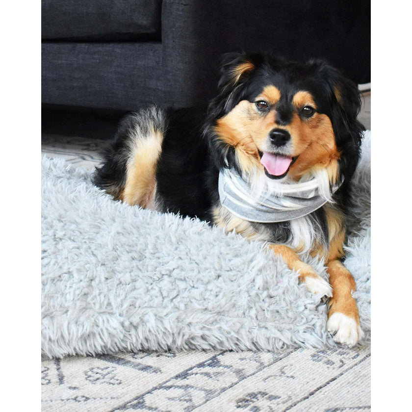 MB SNOOD