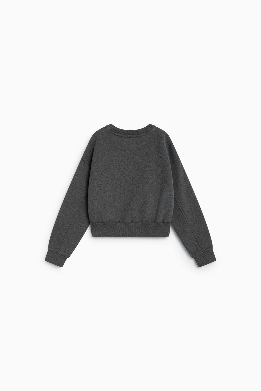 TNS Logo Sweatshirt Dark Grey Melange