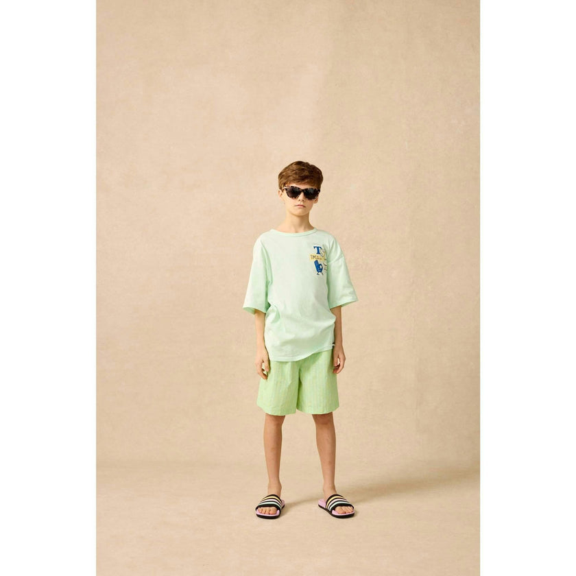 Board Shorts in Pistachio Wand