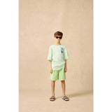 Board Shorts in Pistachio Wand