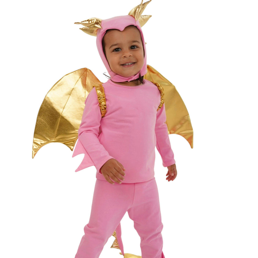 Pink Sky Dragon